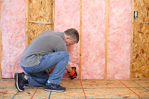 Best Geographic-Specific Insulation Services in Crawford, GA